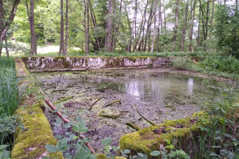 Waldsee