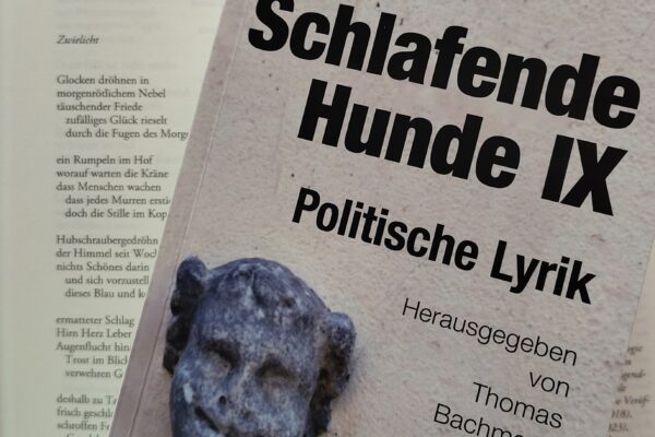 schlafende hunde auf gedicht zwilicht